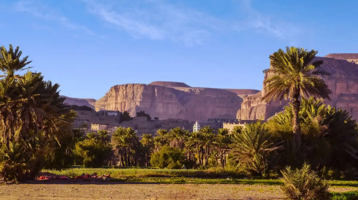 Drive to Siwa Oasis: Into the Western Desert