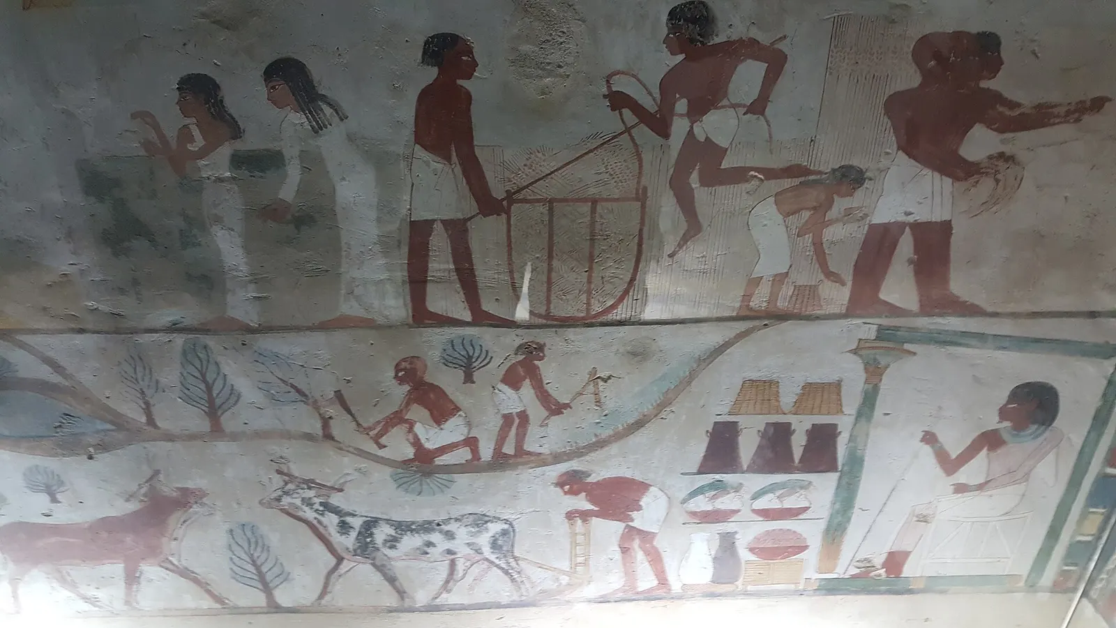 Painted wall scene in the Tomb of Nakht (TT52), Tombs of the Nobles, Luxor