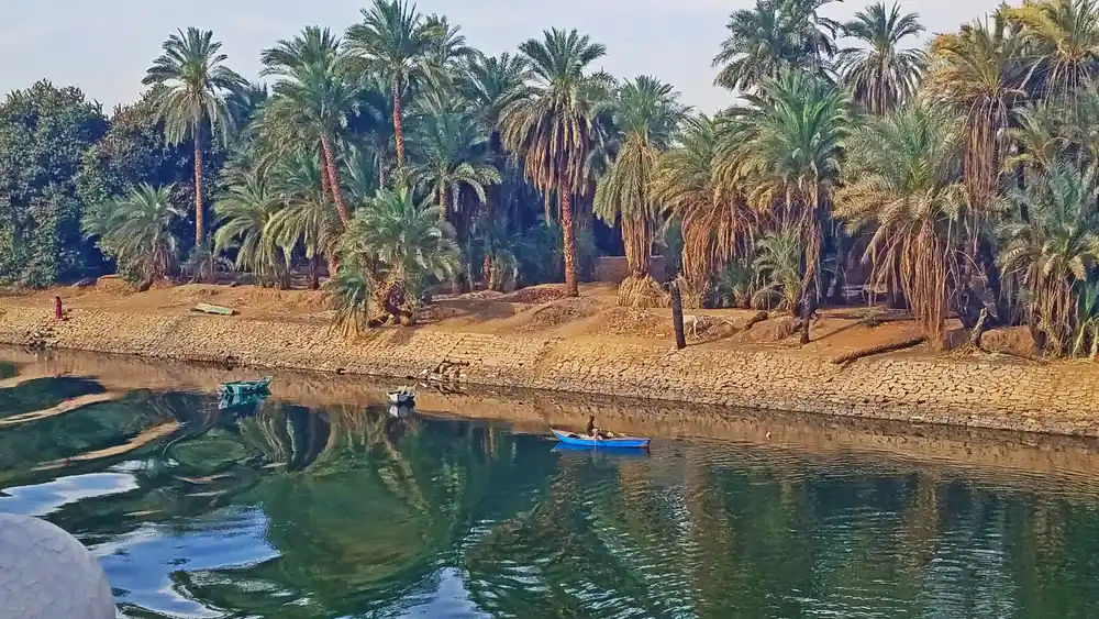 Water, palms and trees at Nile River in Luxor