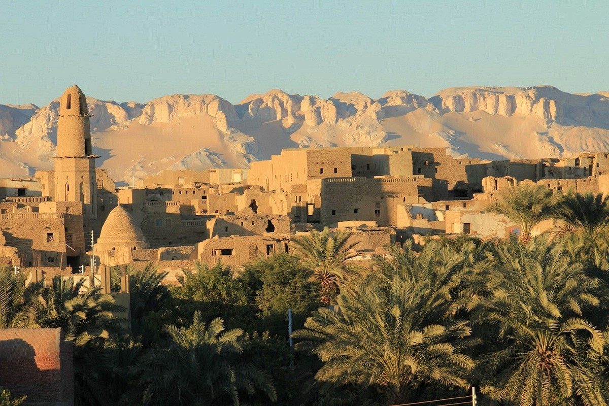 Date Palm & Olive Groves