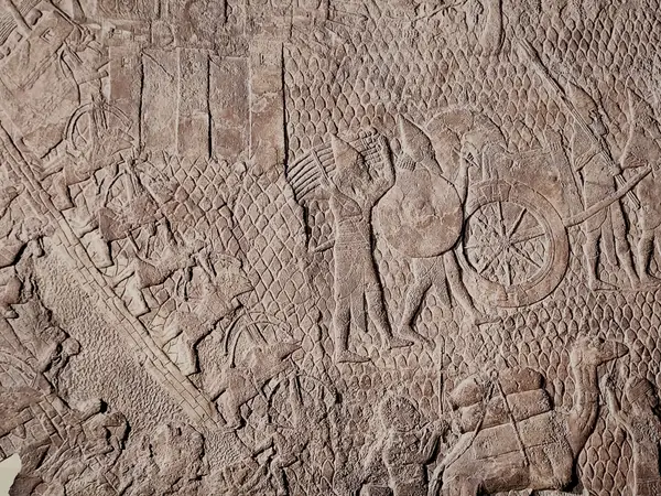 Day 6 | Amarna & Tuna el-Gebel