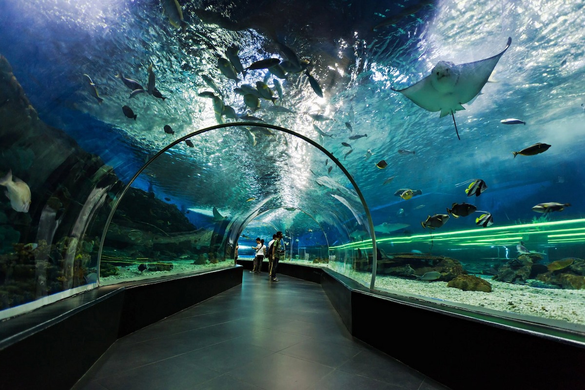 El Gouna Aquarium