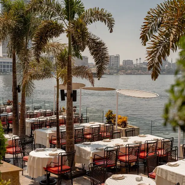 Outdoor restaurant terrace at Sofitel Cairo Nile El Gezirah surrounded by palm trees along the Nile