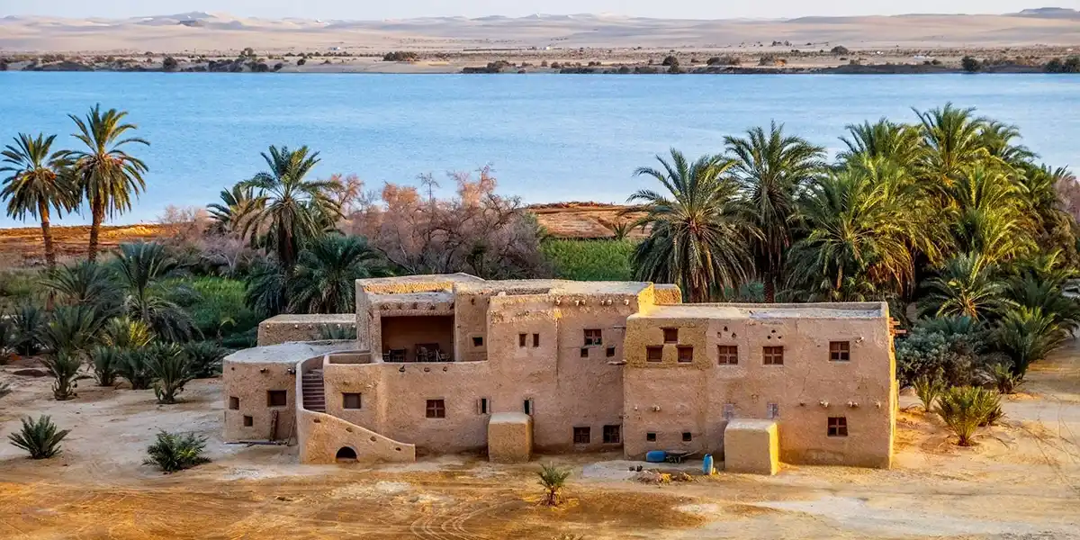 Siwa: The Road West