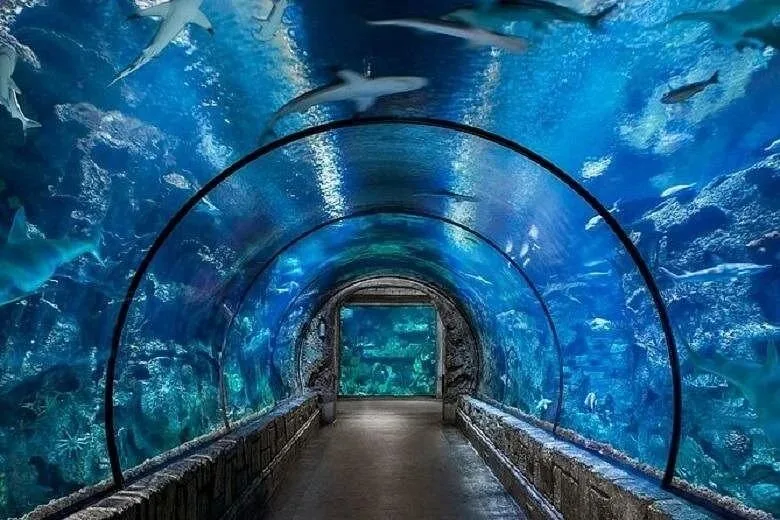 Hurghada Grand Aquarium marine life displays