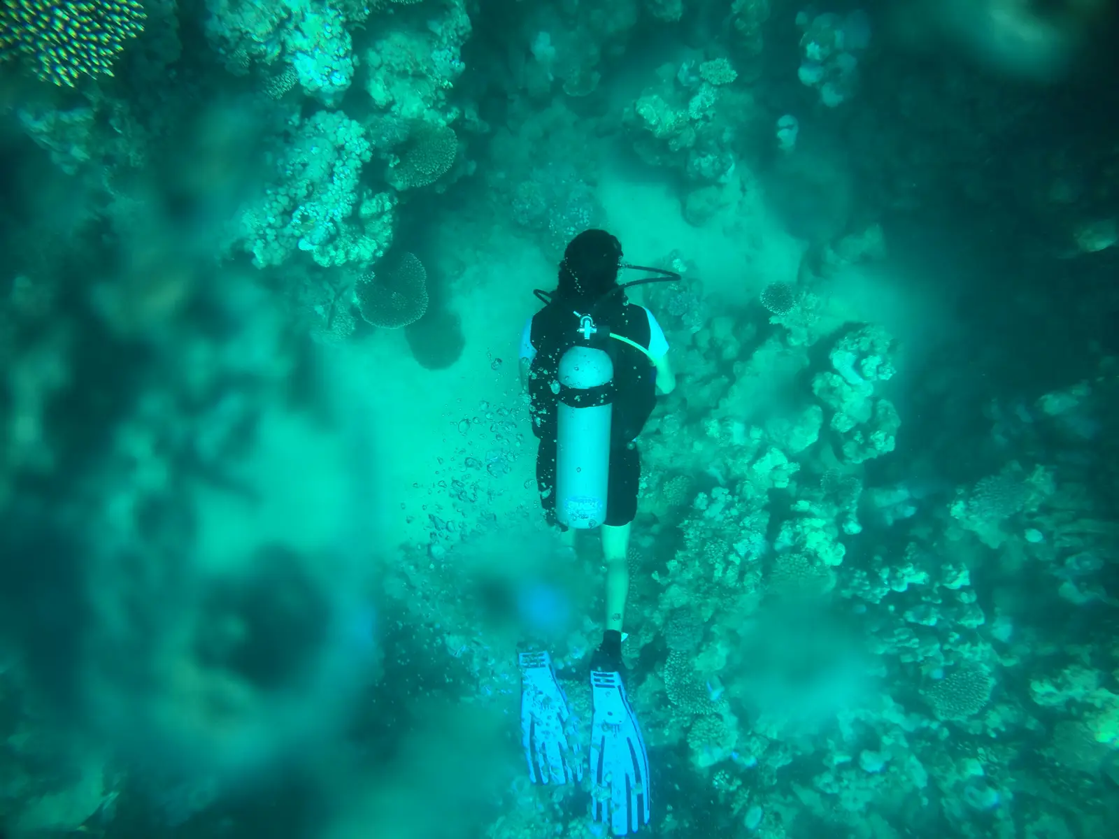 Turquoise water underwater at Red Sea reef in Hurghada, Egypt in sunlight