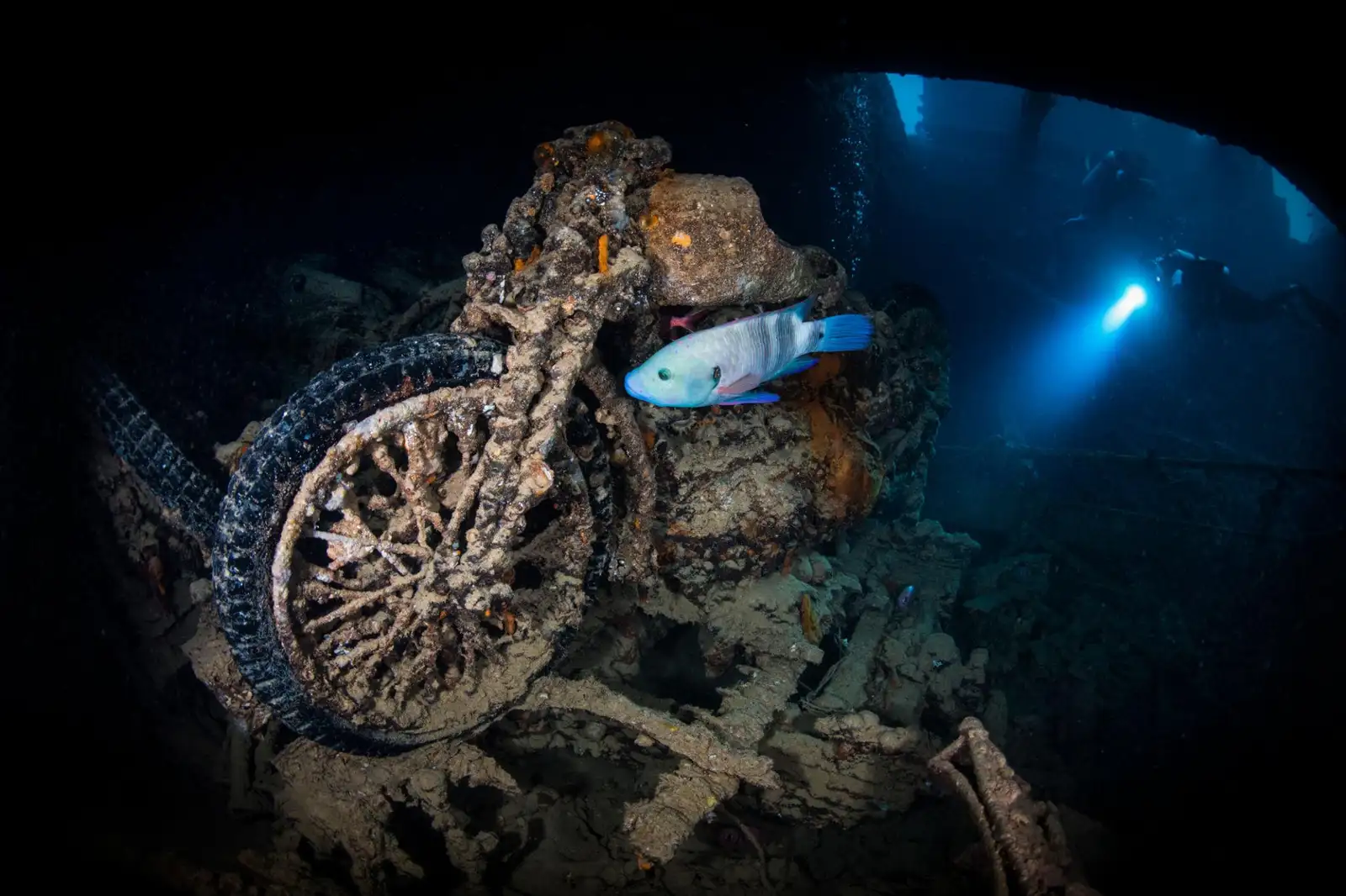 SS Thistlegorm wreck dive site near Hurghada