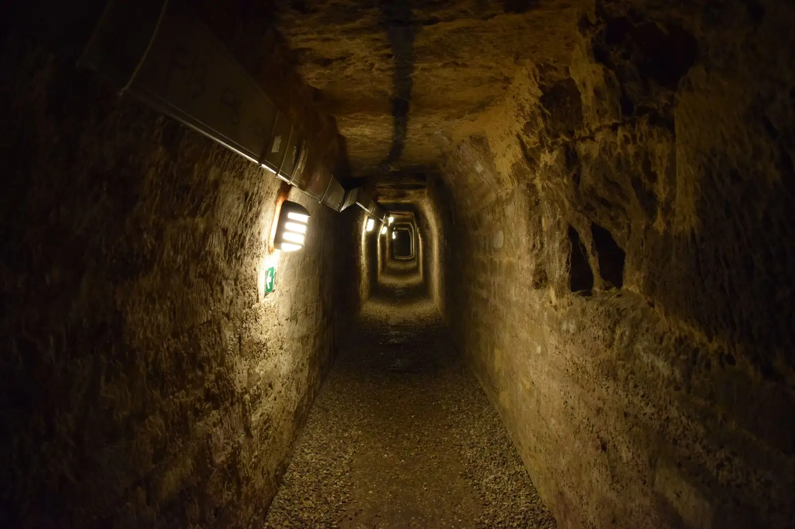 Private guided visit to Catacombs of Kom el-Shoqafa with a private Egyptologist guide