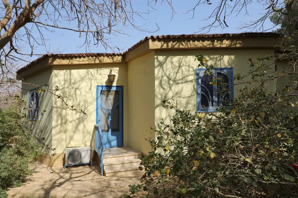 Water at Bahariya springs in Bawiti, Egypt