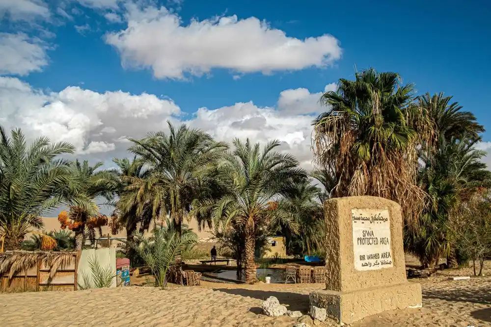 Bir Wahed hot spring in the Great Sand Sea