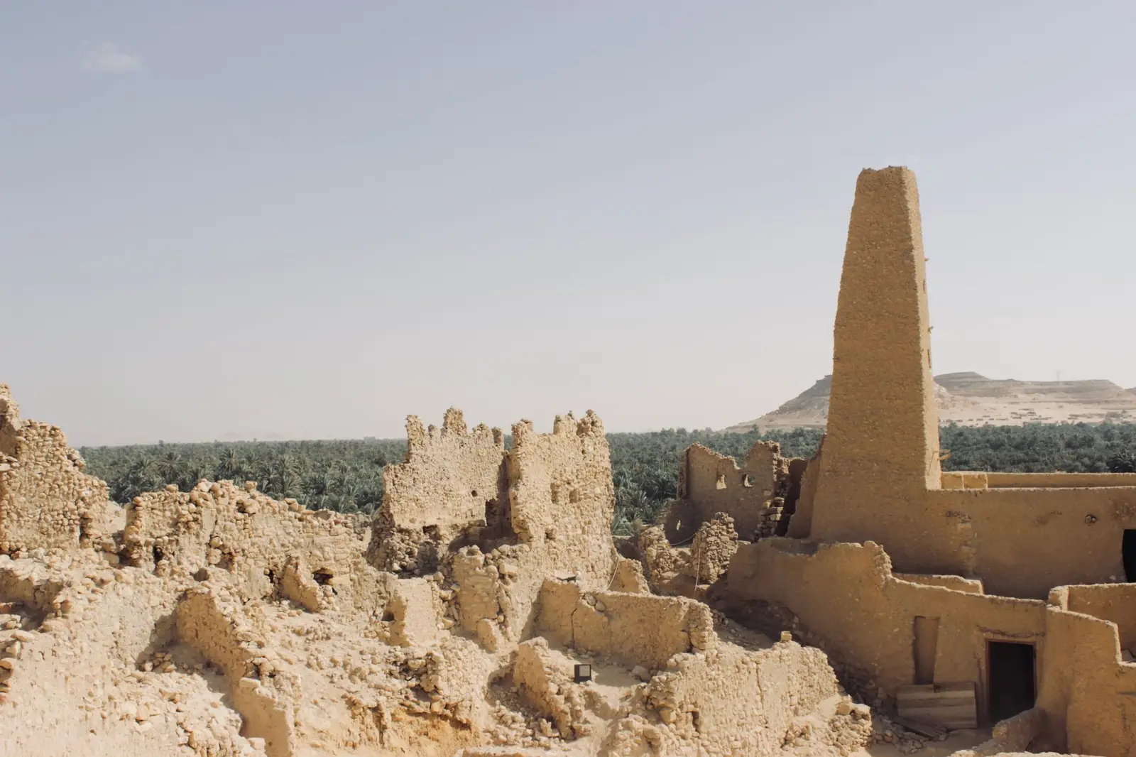 12-Day Egypt Tours Family: Alexandria, Nile & Siwa — photo 14